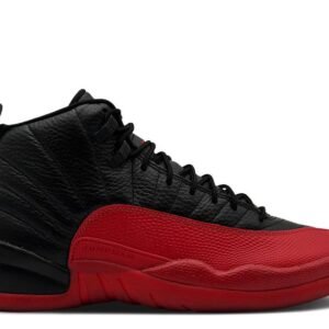 Air Jordan 12