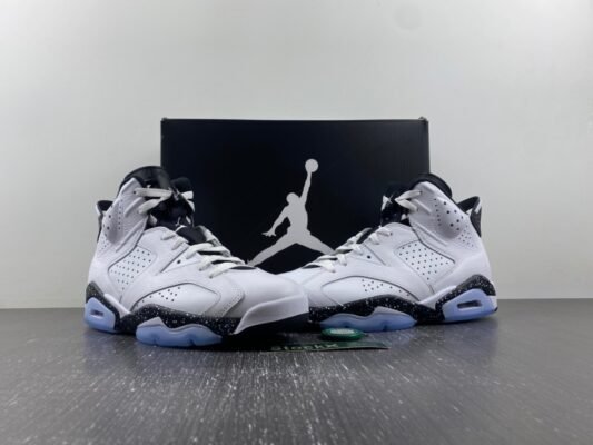 Air Jordan 6 Reverse Oreo CT8529-112