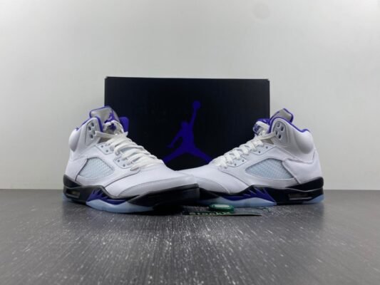 Air Jordan5 CONCORD  DD0587-141