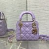 Dior Sheepskin Wicker Pattern Dior Bag Shoulder Bag Crossbody Bag 7 color