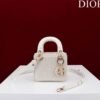 DIOR a Lady Calfskin Luxurious customization Shoulder Bag, Crossbody Bag