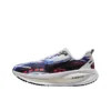 NIKE Vomero 18 SE 'Light Trails Pack' IB8164-999
