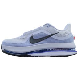 Air Zoom Pegasus Premium 'Persian Violet'  HQ2592-004